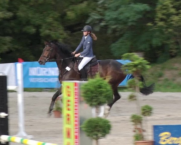 Reitturnier Greppin 2017