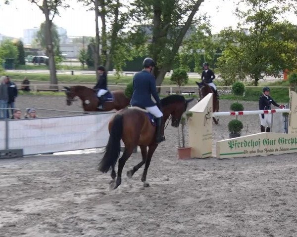 Reitturnier Greppin 2017