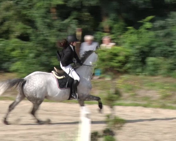 Reitturnier Greppin 2017