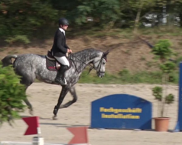 Reitturnier Greppin 2017
