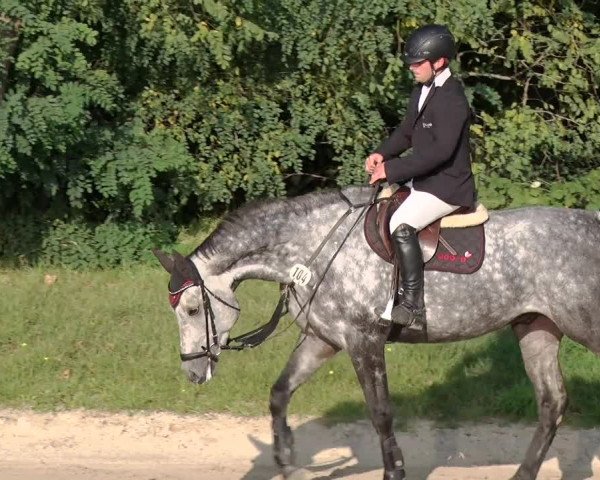 Reitturnier Greppin 2017