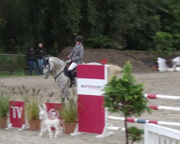 Reitturnier Greppin 2017
