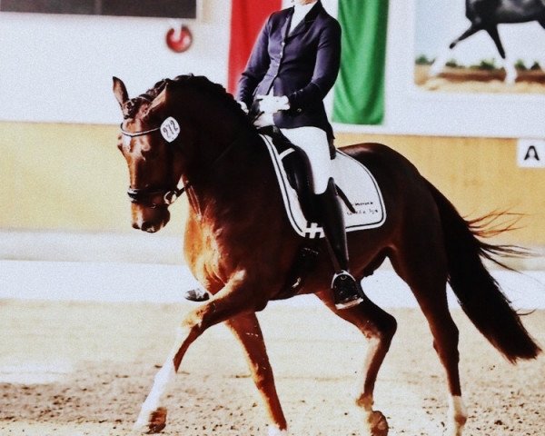 Dressurpferd Fred Feuerstein F (Rheinländer, 2010, von Fidertanz RH)