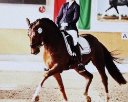 dressage horse Fred Feuerstein F (Rhinelander, 2010, from Fidertanz RH)