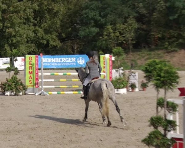 Reitturnier Greppin 2017