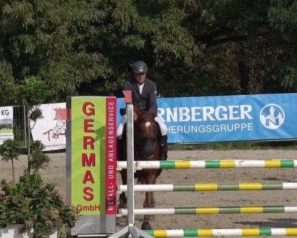 Reitturnier Greppin 2017