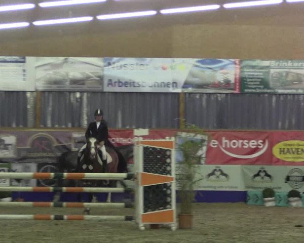 Reitturnier Isterberg 2017
