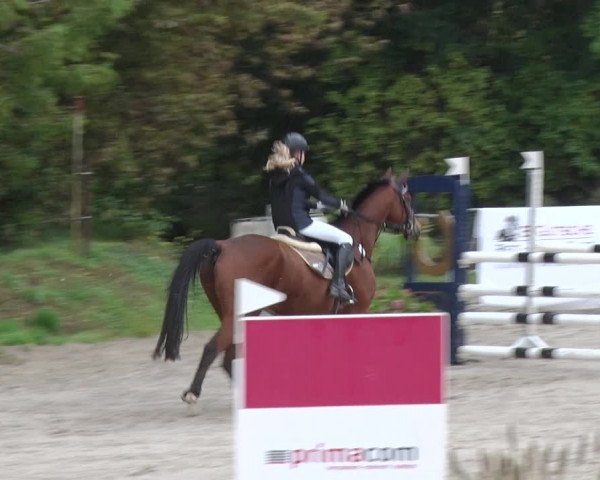 Reitturnier Greppin 2017