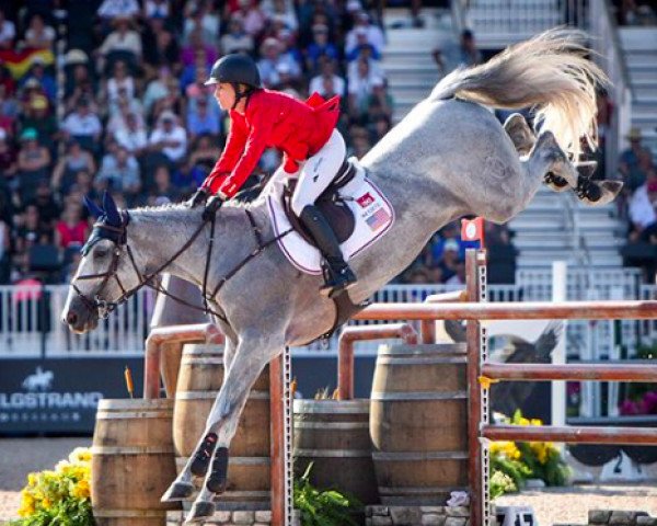 broodmare Zeremonie (Holsteiner, 2007, from Cero)