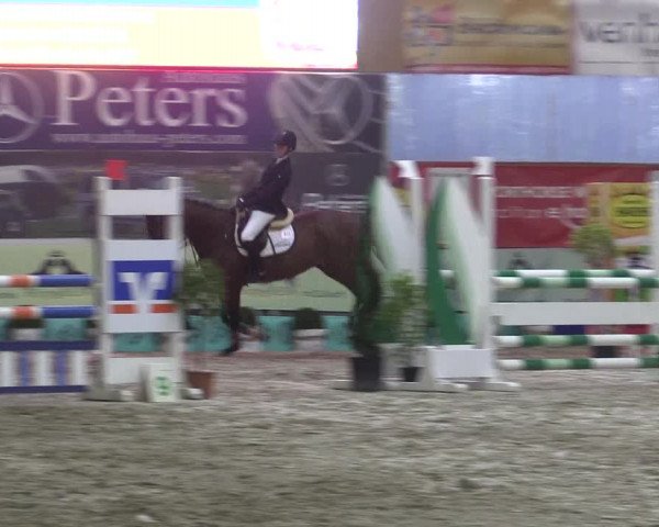 Reitturnier Isterberg 2017
