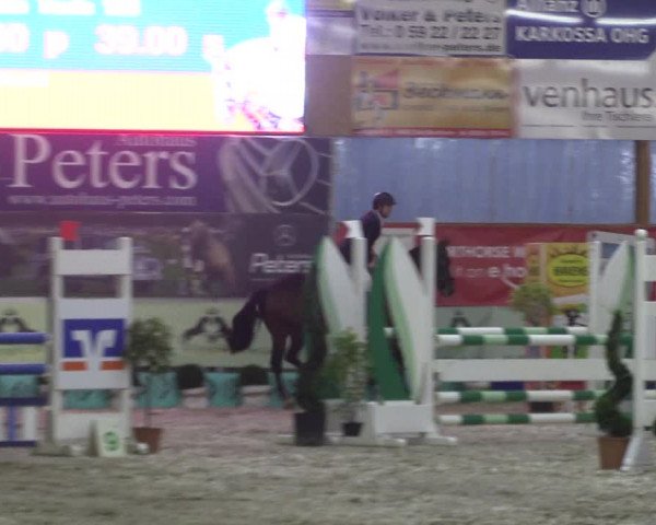 Reitturnier Isterberg 2017