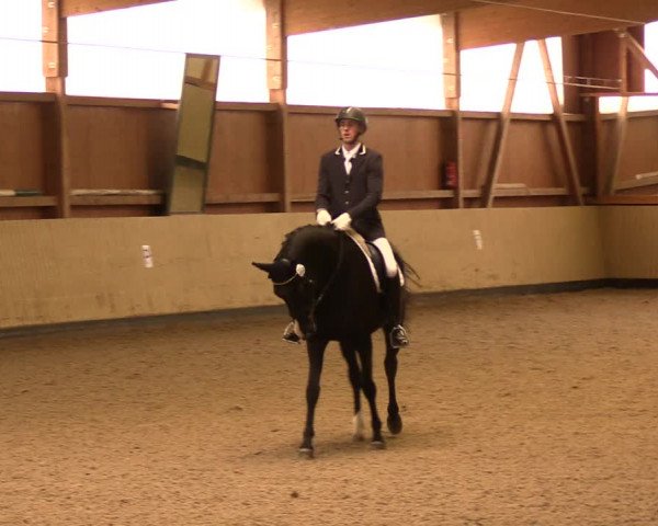 Reitturnier Uetz 2017