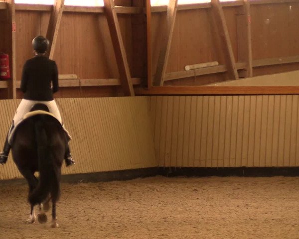 Reitturnier Uetz 2017