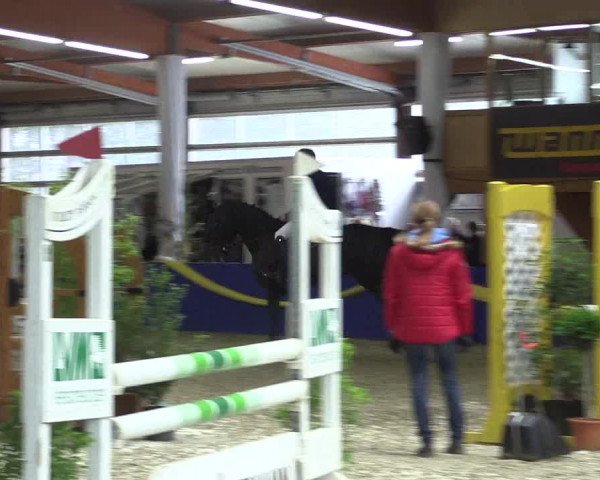 Reitturnier Isterberg 2017