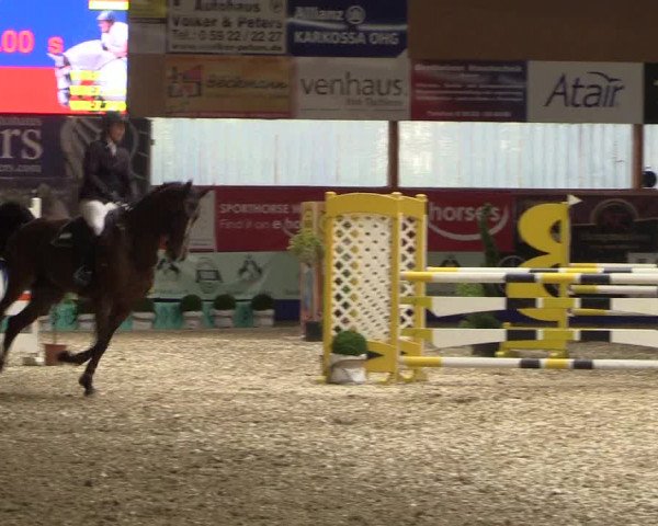 Reitturnier Isterberg 2017