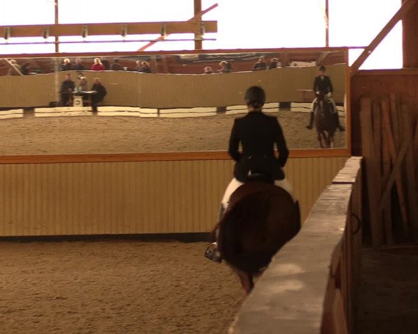 Reitturnier Uetz 2017