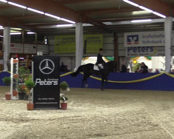 Reitturnier Isterberg 2017