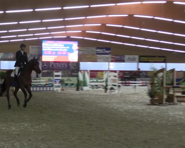 Reitturnier Isterberg 2017