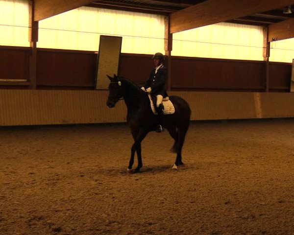 Reitturnier Uetz 2017
