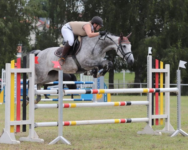 broodmare Caralena 3 (Bavarian, 2011, from Camarque 3)