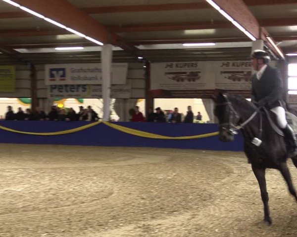 Reitturnier Isterberg 2017