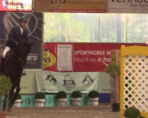 Reitturnier Isterberg 2017