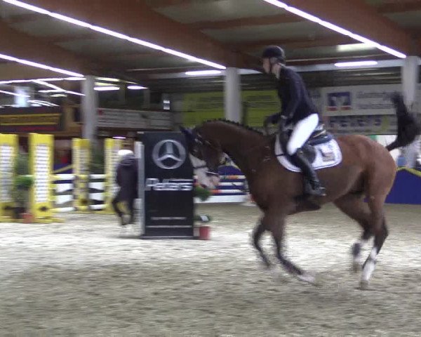 Reitturnier Isterberg 2017