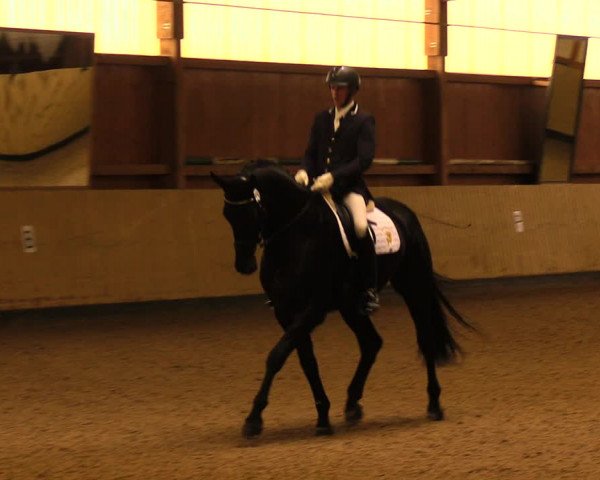 Reitturnier Uetz 2017
