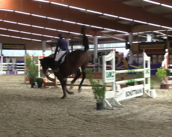 Reitturnier Isterberg 2017