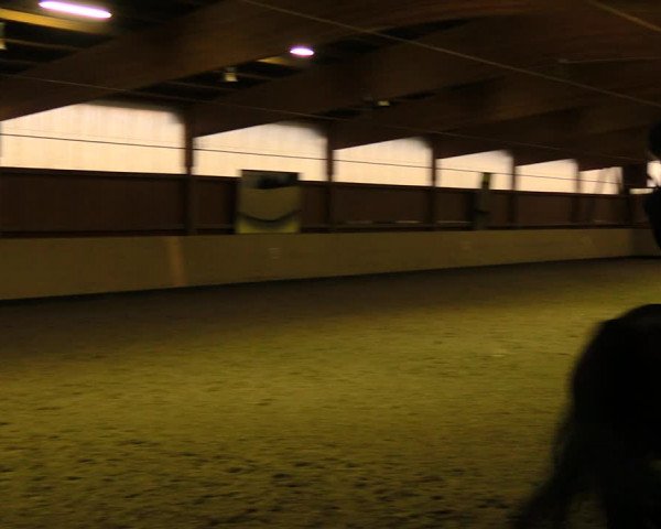 Reitturnier Uetz 2017