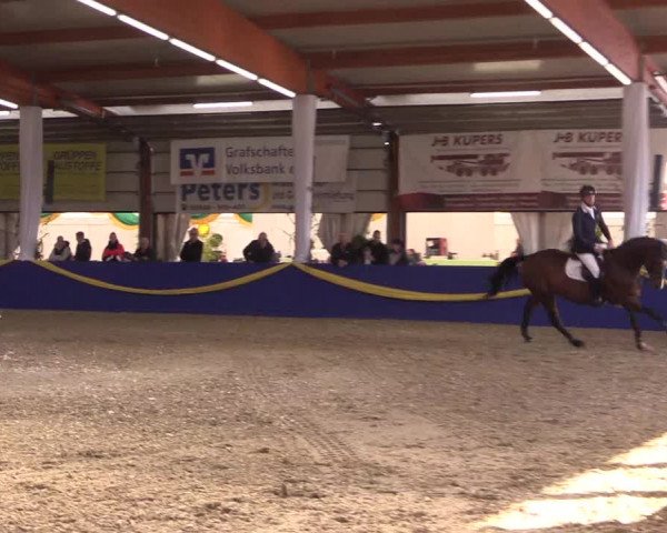 Reitturnier Isterberg 2017