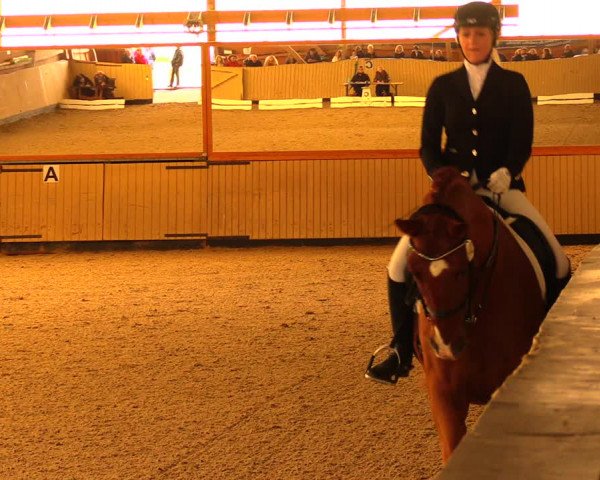 Reitturnier Uetz 2017