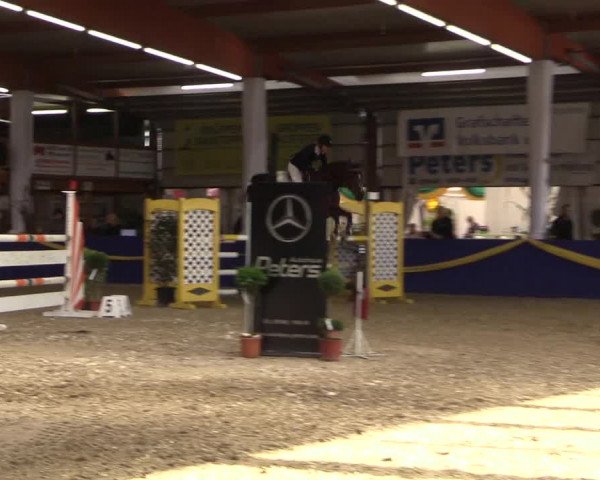 Reitturnier Isterberg 2017