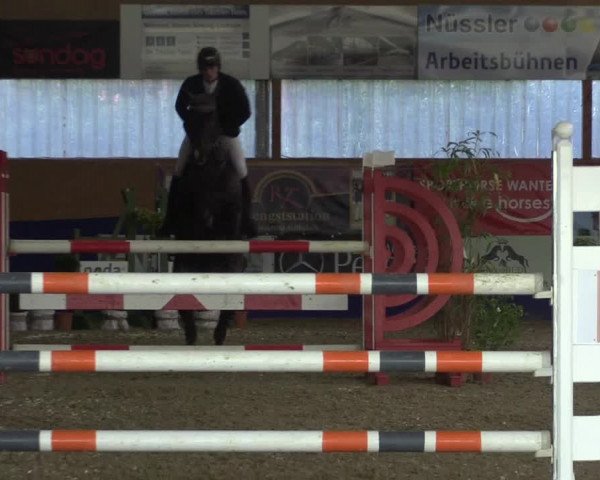 Reitturnier Isterberg 2017