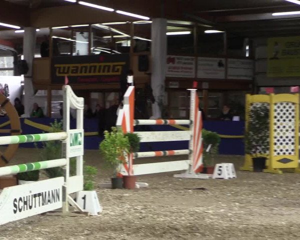 Reitturnier Isterberg 2017
