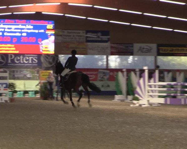 Reitturnier Isterberg 2017