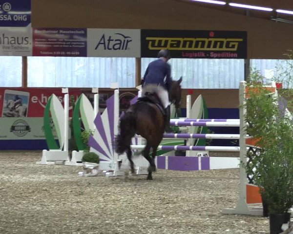 Reitturnier Isterberg 2017