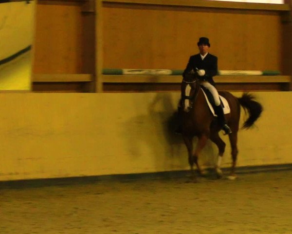 Reitturnier Uetz 2017