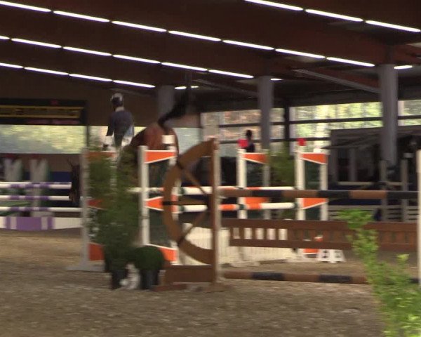 Reitturnier Isterberg 2017