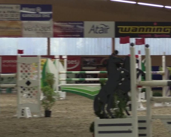 Reitturnier Isterberg 2017