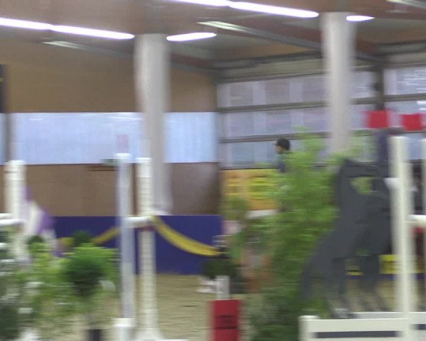 Reitturnier Isterberg 2017