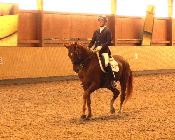 Reitturnier Uetz 2017