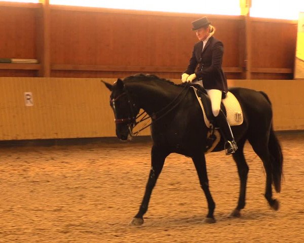 Reitturnier Uetz 2017