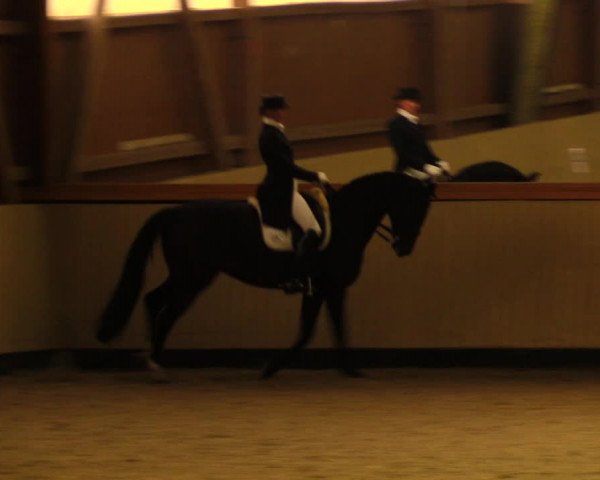 Reitturnier Uetz 2017