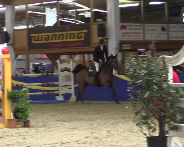 Reitturnier Isterberg 2017