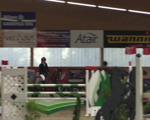 Reitturnier Isterberg 2017