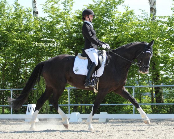 broodmare Raphaela (Bavarian, 2012, from Un Amore)