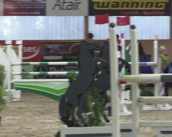 Reitturnier Isterberg 2017