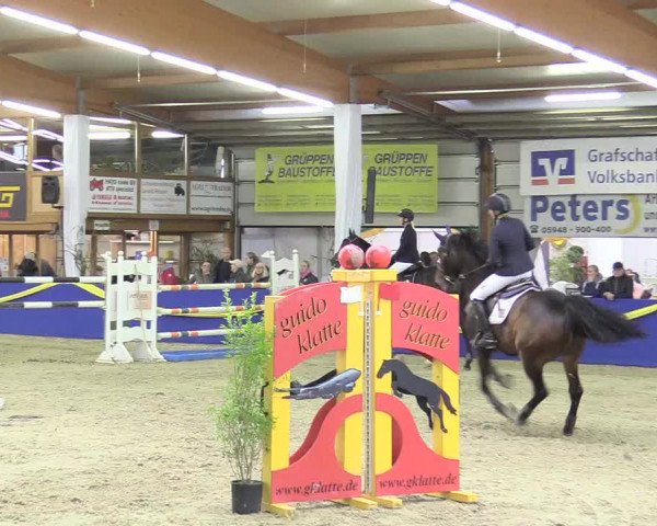 Reitturnier Isterberg 2017