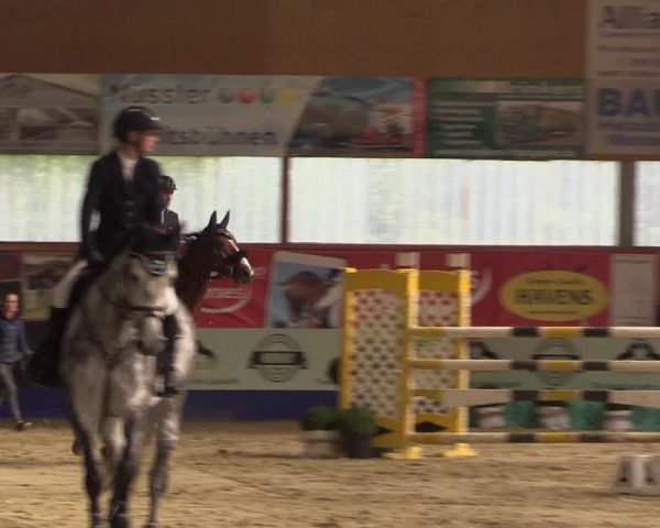 Reitturnier Isterberg 2017